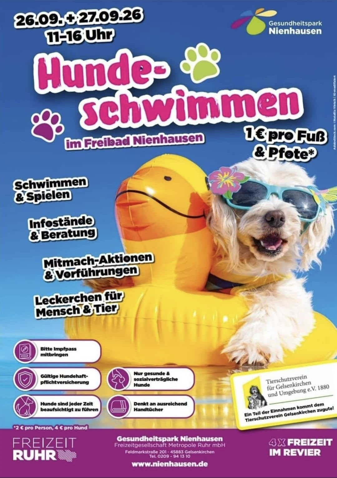 Hundeschwimmen